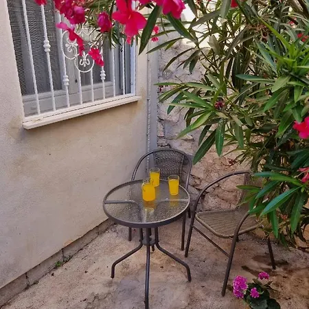 Oleander * Spalato