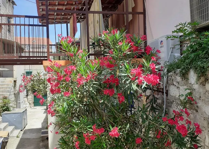 Oleander شقة